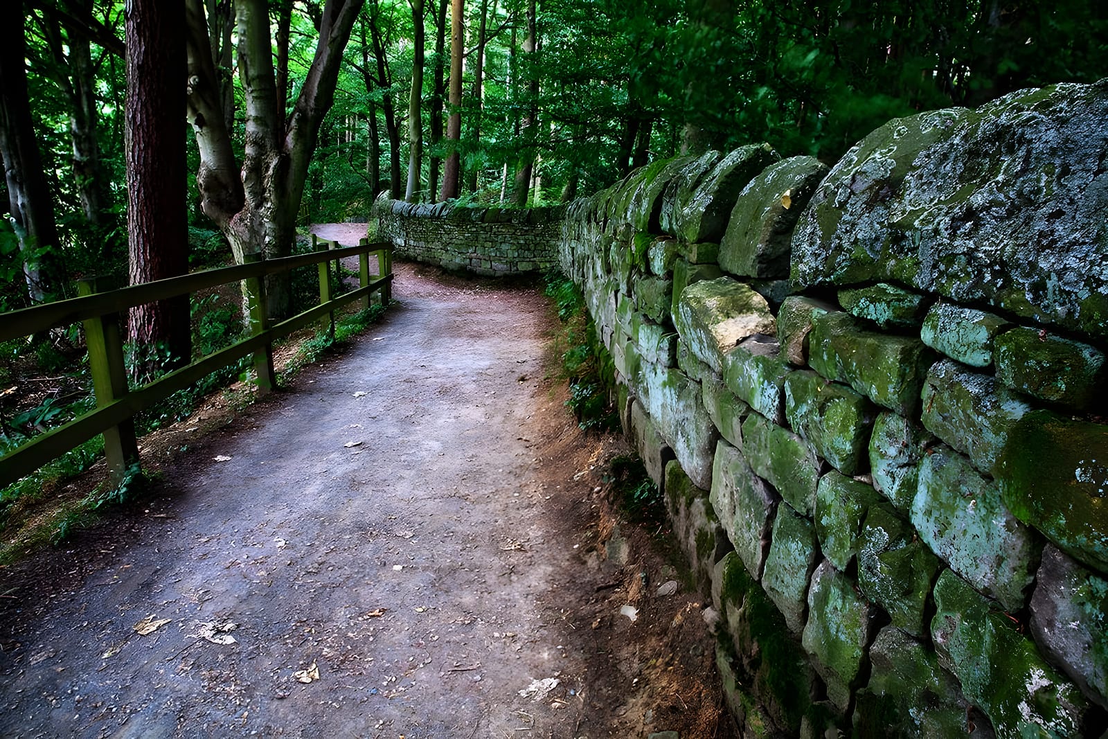 A stone wall running along a woodland path beside a wooden fence
